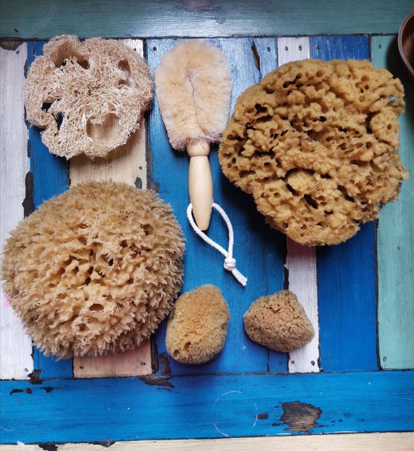 Natural Sea Sponge